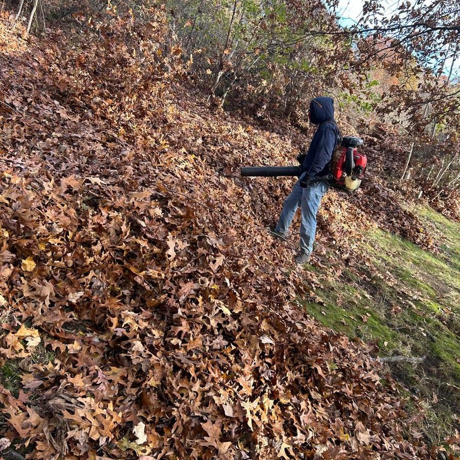 A crew member in a hoodie clears a slope covered in fallen oak leaves with a backpack leaf blower.